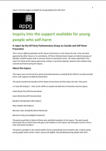 Inquiry into the support available for young people who self-harm